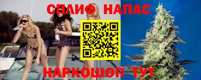 СК Лесосибирск