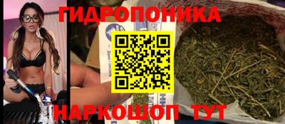 СК Лесосибирск