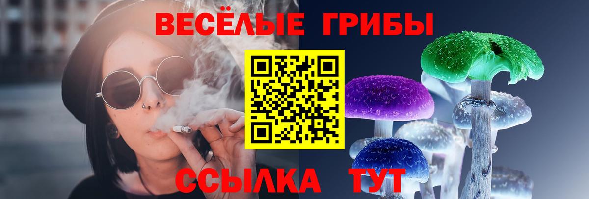 Псилоцибиновые грибы Cubensis Арзамас